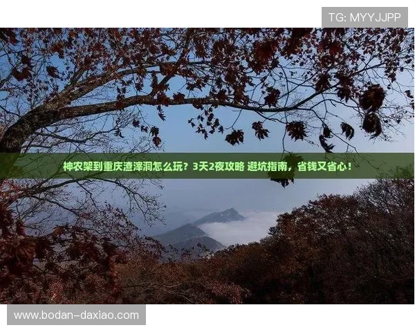 亚洲杯比分推荐避坑指南 彩票数字高频玩法防骗